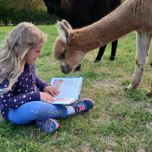 Kind liest mit Alpaka